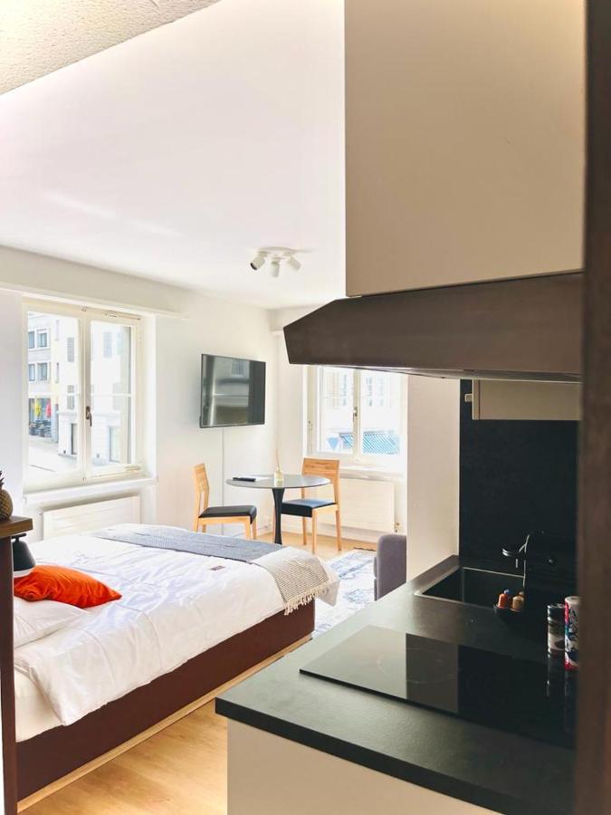 Cozy Studio Apartment Unit 12 In Center Of Zürih Dış mekan fotoğraf